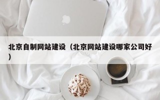 铜川北京自制网站建设（北京网站建设哪家公司好）